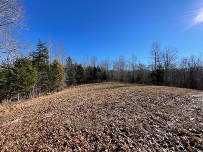 Unrestricted Land With Building For Sale In Hardin County - image 31