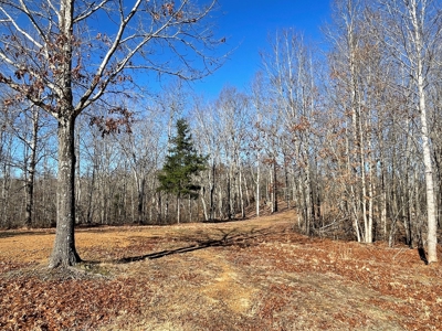 Unrestricted Land With Building For Sale In Hardin County - image 34