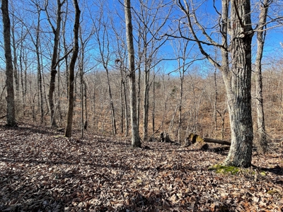 Unrestricted Land With Building For Sale In Hardin County - image 37