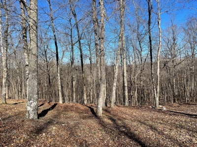 Unrestricted Land With Building For Sale In Hardin County - image 30
