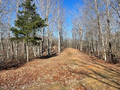 Unrestricted Land With Building For Sale In Hardin County - image 36