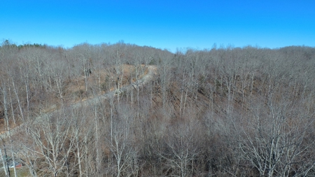 Unrestricted Land With Building For Sale In Hardin County - image 42
