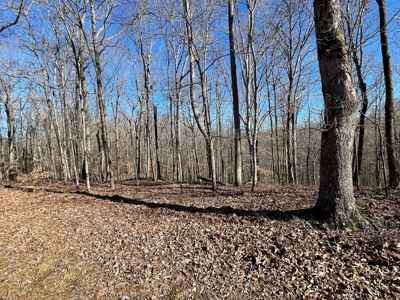 Unrestricted Land With Building For Sale In Hardin County - image 32