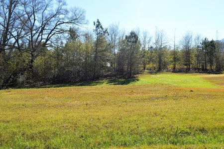 Building Lot for Sale Joining Golf Course Southwest MS - image 4