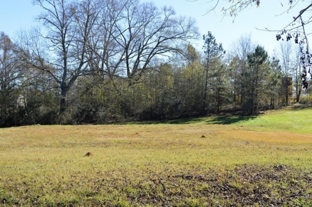 Building Lot for Sale Joining Golf Course Southwest MS - image 1