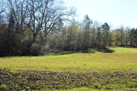 Building Lot for Sale Joining Golf Course Southwest MS - image 2