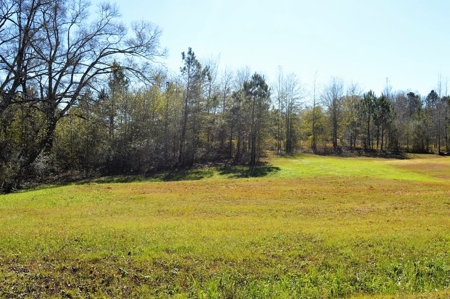 Building Lot for Sale Joining Golf Course Southwest MS - image 3