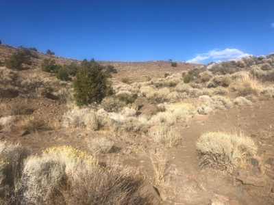 Nevada Residential Recreational Land For Sale Washoe County - image 2