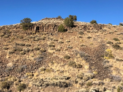 Nevada Residential Recreational Land For Sale Washoe County - image 11