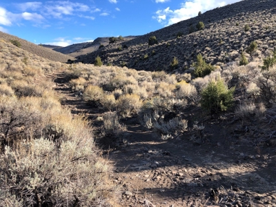 Nevada Residential Recreational Land For Sale Washoe County - image 8