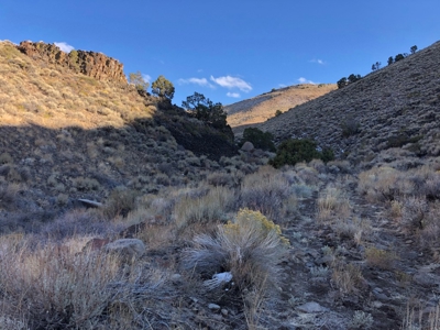 Nevada Residential Recreational Land For Sale Washoe County - image 18