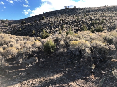 Nevada Residential Recreational Land For Sale Washoe County - image 9