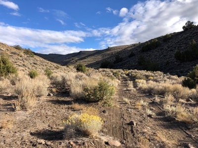 Nevada Residential Recreational Land For Sale Washoe County - image 1