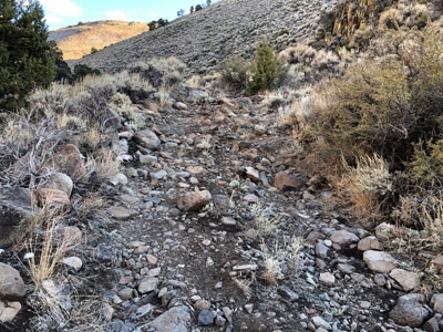 Nevada Residential Recreational Land For Sale Washoe County - image 17
