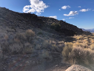 Nevada Residential Recreational Land For Sale Washoe County - image 16