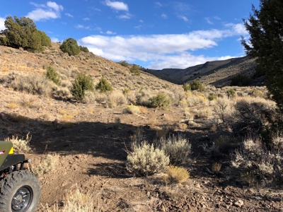 Nevada Residential Recreational Land For Sale Washoe County - image 3