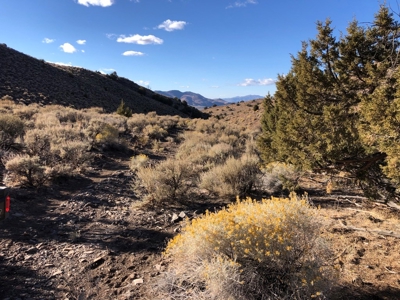 Nevada Residential Recreational Land For Sale Washoe County - image 10