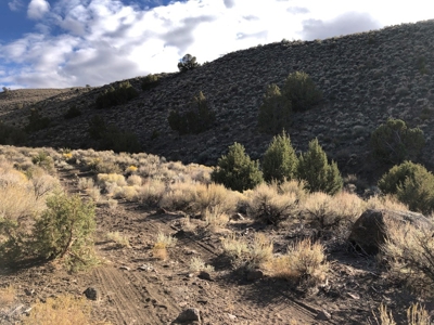 Nevada Residential Recreational Land For Sale Washoe County - image 5