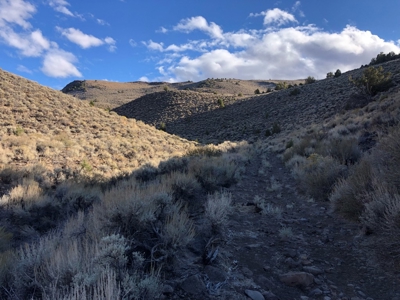 Nevada Residential Recreational Land For Sale Washoe County - image 12