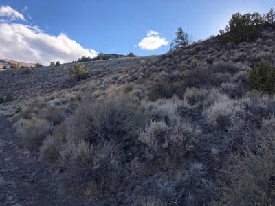Nevada Residential Recreational Land For Sale Washoe County - image 13