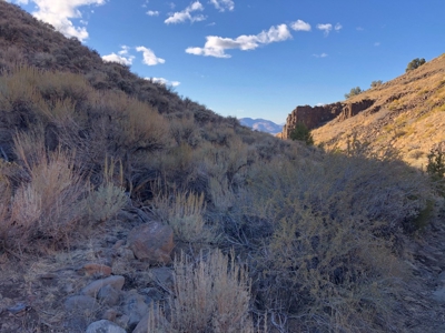 Nevada Residential Recreational Land For Sale Washoe County - image 19