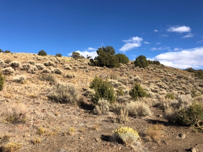 Nevada Residential Recreational Land For Sale Washoe County - image 4