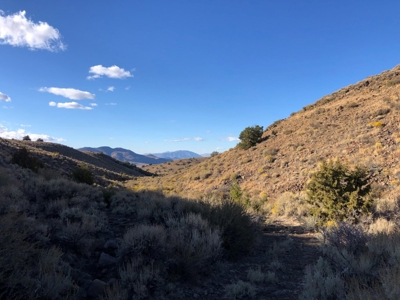Nevada Residential Recreational Land For Sale Washoe County - image 14