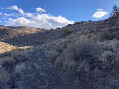 Nevada Residential Recreational Land For Sale Washoe County - image 13