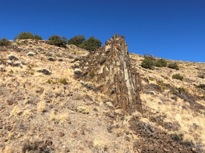 Nevada Residential Recreational Land For Sale Washoe County - image 16