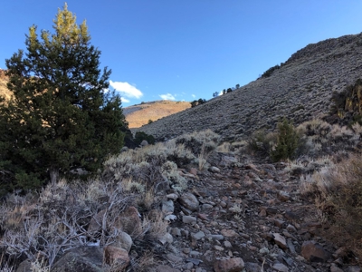 Nevada Residential Recreational Land For Sale Washoe County - image 19