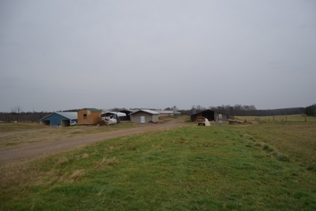 Organic Poultry Farm For Sale in NC! - image 16