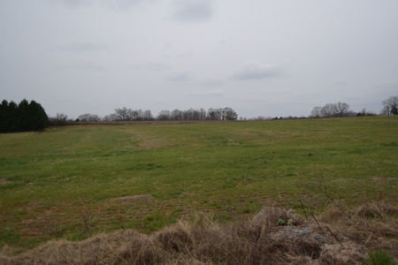 Organic Poultry Farm For Sale in NC! - image 14