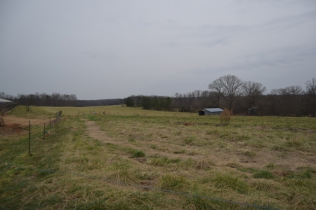 Organic Poultry Farm For Sale in NC! - image 18