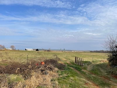 Organic Poultry Farm For Sale in NC! - image 2