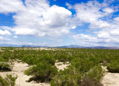 Land for Sale Fallon NV - image 1