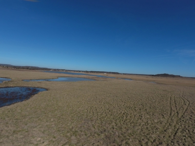 Land for Sale McAlester Oklahoma- SE Oklahoma Land for sale. - image 5