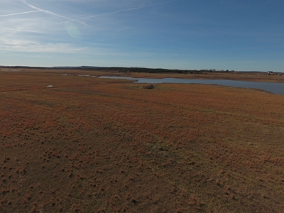 Land for Sale McAlester Oklahoma- SE Oklahoma Land for sale. - image 3