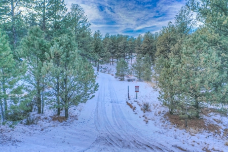 Affordable Fishing & Hunting Property in 80816 - image 35