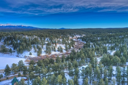 Affordable Fishing & Hunting Property in 80816 - image 13