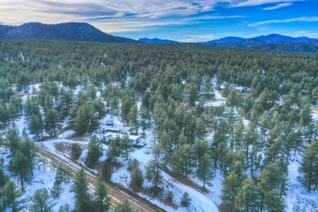 Affordable Fishing & Hunting Property in 80816 - image 12