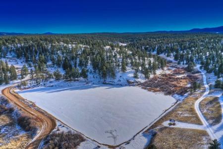 Affordable Fishing & Hunting Property in 80816 - image 2