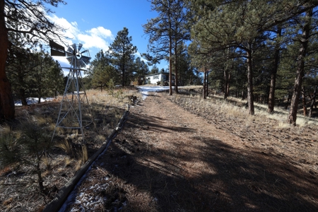 Affordable Fishing & Hunting Property in 80816 - image 34