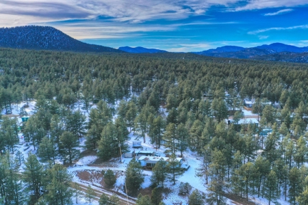 Affordable Fishing & Hunting Property in 80816 - image 11