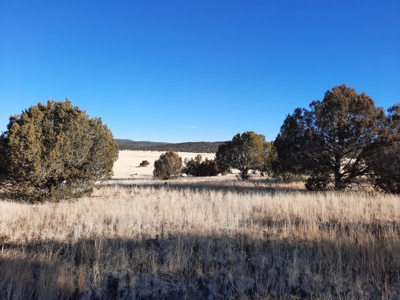 Gorgeous Views - image 8