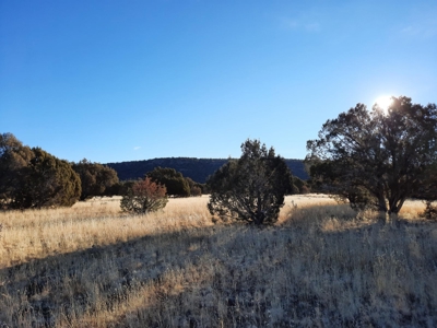 Gorgeous Views - image 7