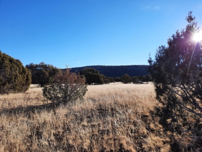 Gorgeous Views - image 6