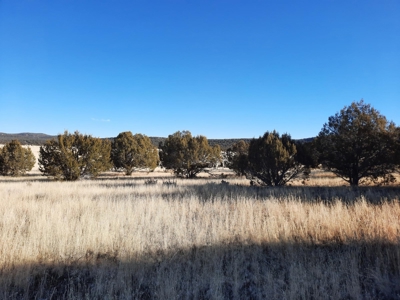 Gorgeous Views - image 9