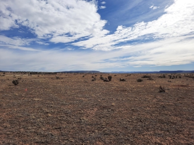 Gorgeous Views - image 8