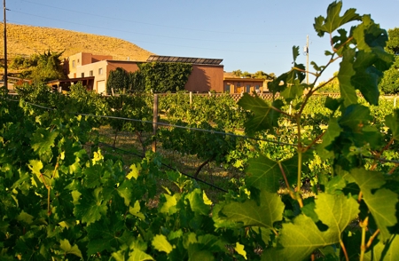 Colorado Cellars - Colorado's Oldest Winery For Sale - image 2