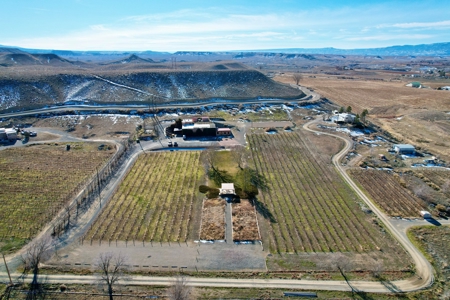 Colorado Cellars - Colorado's Oldest Winery For Sale - image 27